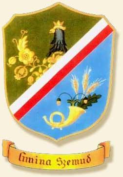 Regulamin VII PFPW - Szemud 2013